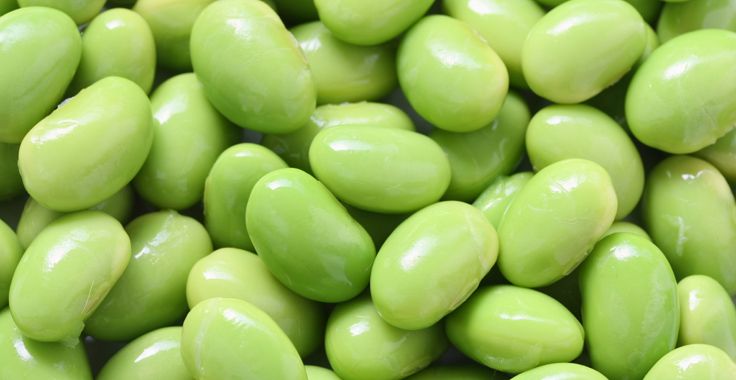 HH_HS_Edamame_Fotolia_41836406_Subscription_Monthly_XL_736x380