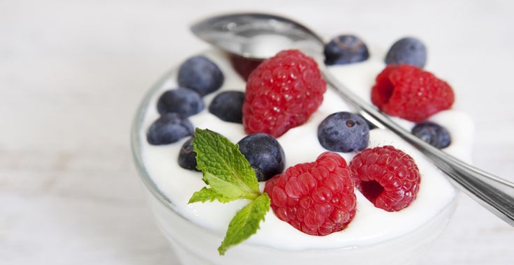 HH_HS_YogurtandFruit_Fotolia_61952587_Subscription_Monthly_XL_736x380