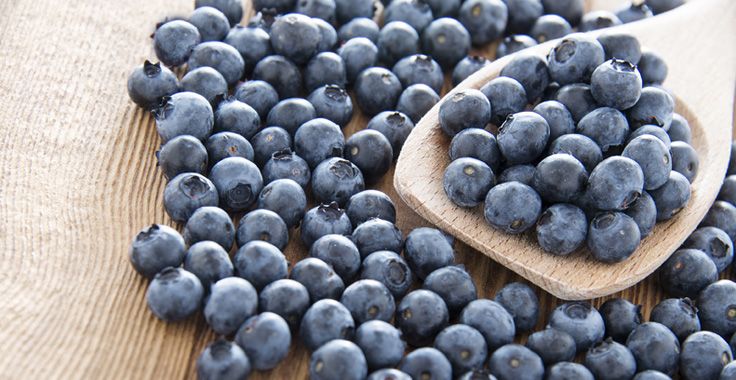 HH_SF_Blueberries_Fotolia_67989855_Subscription_Monthly_L_736x380