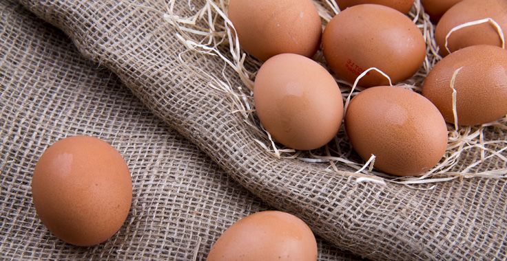 HH_SF_Eggs_Fotolia_71137252_Subscription_Monthly_XXL_736x380