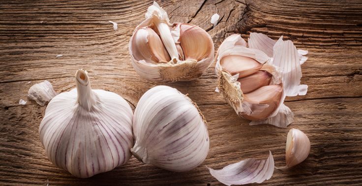 HH_SF_Garlic_Fotolia_72147438_Subscription_Monthly_XXL_736x380